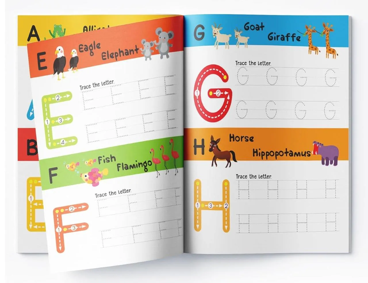Educational book set for kids - 4 books in a pack by Holooz