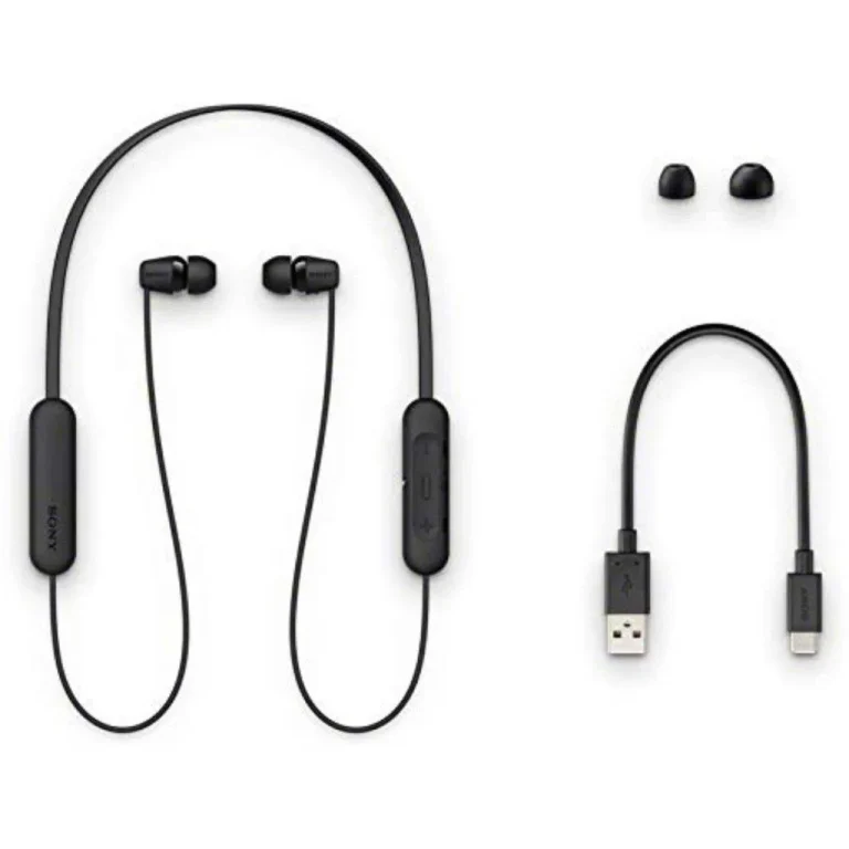 Sony WI-C200 Bluetooth In-Ear Headphones