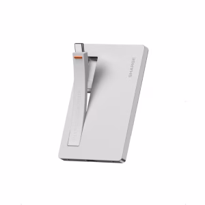 Affordable M.2 NVMe SSD Enclosure in BD