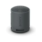 Affordable Sony SRS-XB100 Wireless Speaker with Long Battery Life