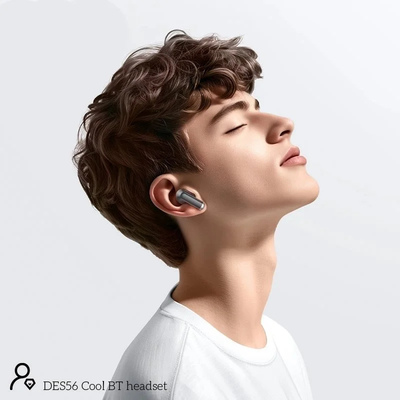 Buy Hoco DES56 Wireless Earbuds from Holooz low price Bangladesh