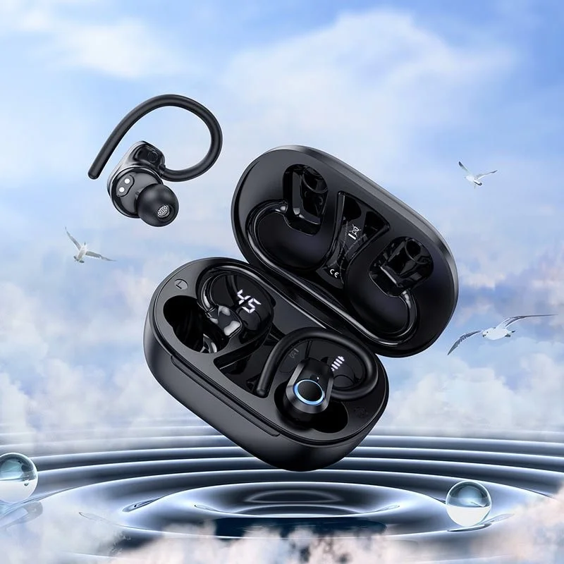 Hoco EQ8 Pure Joy Earhook TWS Earbuds 